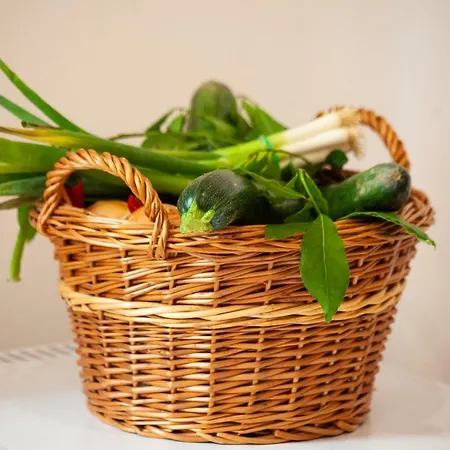 Irma Διαμέρισμα